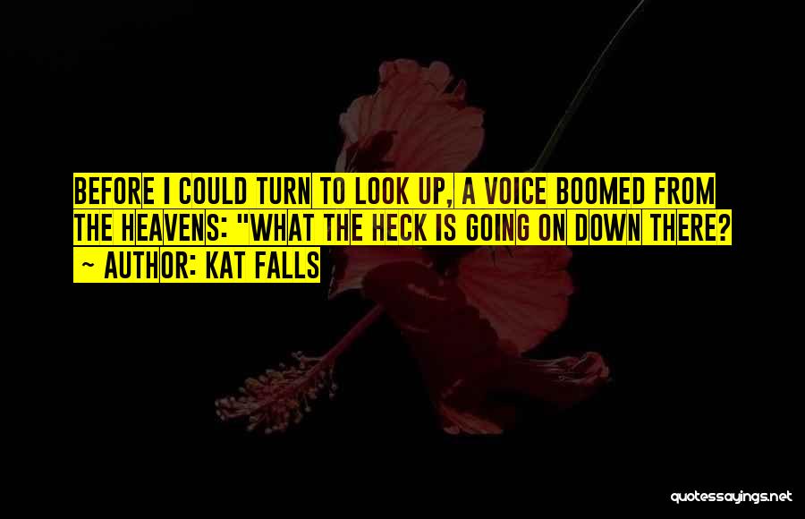 Kat Falls Quotes: Before I Could Turn To Look Up, A Voice Boomed From The Heavens: What The Heck Is Going On Down