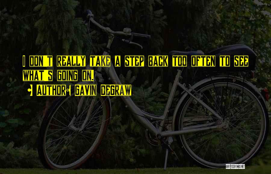 Gavin DeGraw Quotes: I Don't Really Take A Step Back Too Often To See What's Going On.