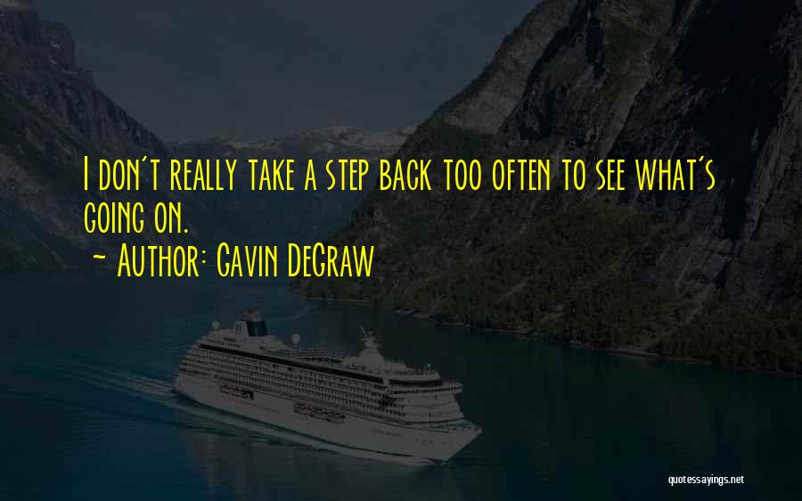 Gavin DeGraw Quotes: I Don't Really Take A Step Back Too Often To See What's Going On.