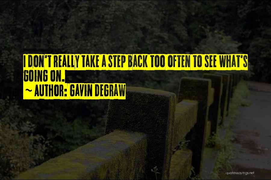 Gavin DeGraw Quotes: I Don't Really Take A Step Back Too Often To See What's Going On.