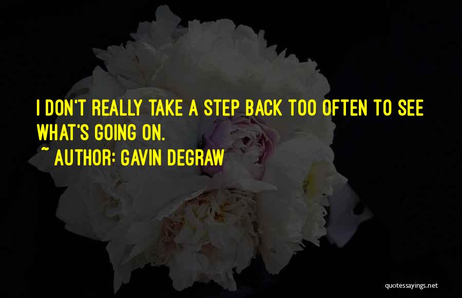 Gavin DeGraw Quotes: I Don't Really Take A Step Back Too Often To See What's Going On.