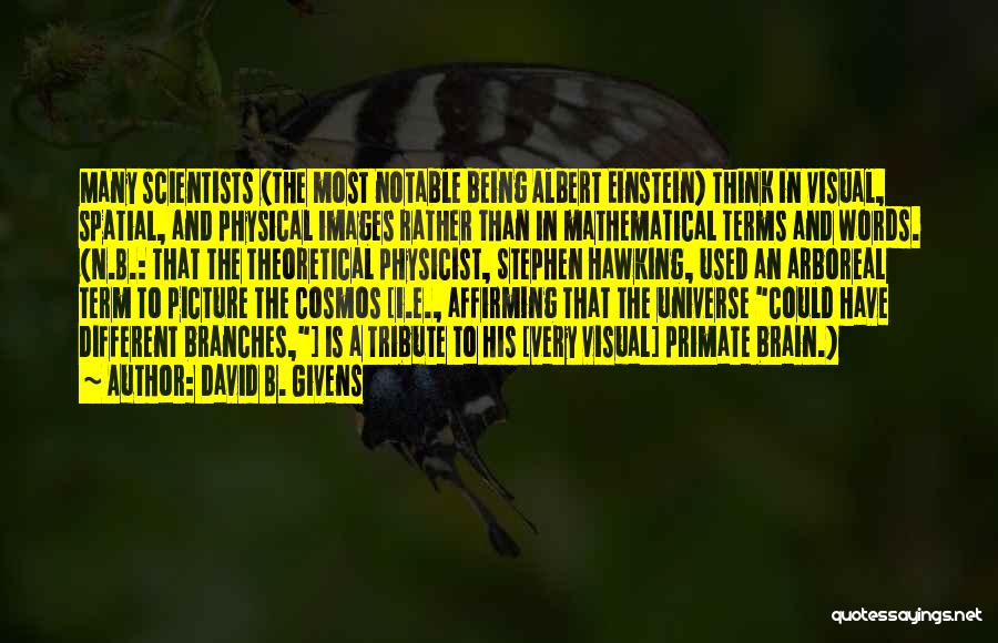 David B. Givens Quotes: Many Scientists (the Most Notable Being Albert Einstein) Think In Visual, Spatial, And Physical Images Rather Than In Mathematical Terms