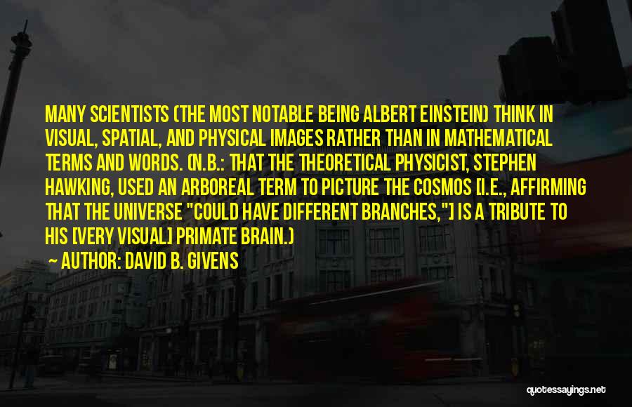 David B. Givens Quotes: Many Scientists (the Most Notable Being Albert Einstein) Think In Visual, Spatial, And Physical Images Rather Than In Mathematical Terms