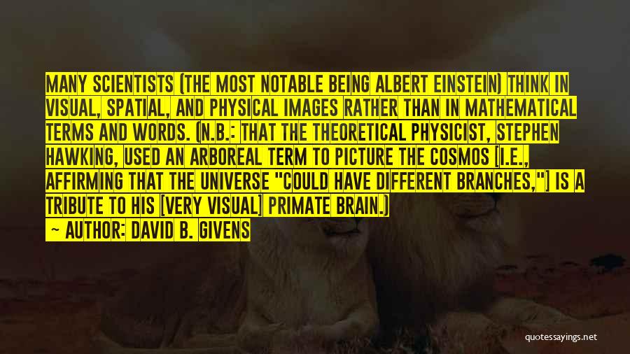 David B. Givens Quotes: Many Scientists (the Most Notable Being Albert Einstein) Think In Visual, Spatial, And Physical Images Rather Than In Mathematical Terms