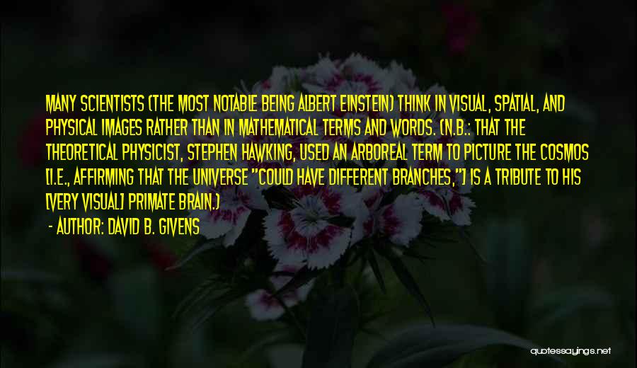 David B. Givens Quotes: Many Scientists (the Most Notable Being Albert Einstein) Think In Visual, Spatial, And Physical Images Rather Than In Mathematical Terms