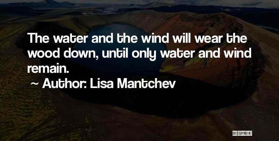 Lisa Mantchev Quotes: The Water And The Wind Will Wear The Wood Down, Until Only Water And Wind Remain.