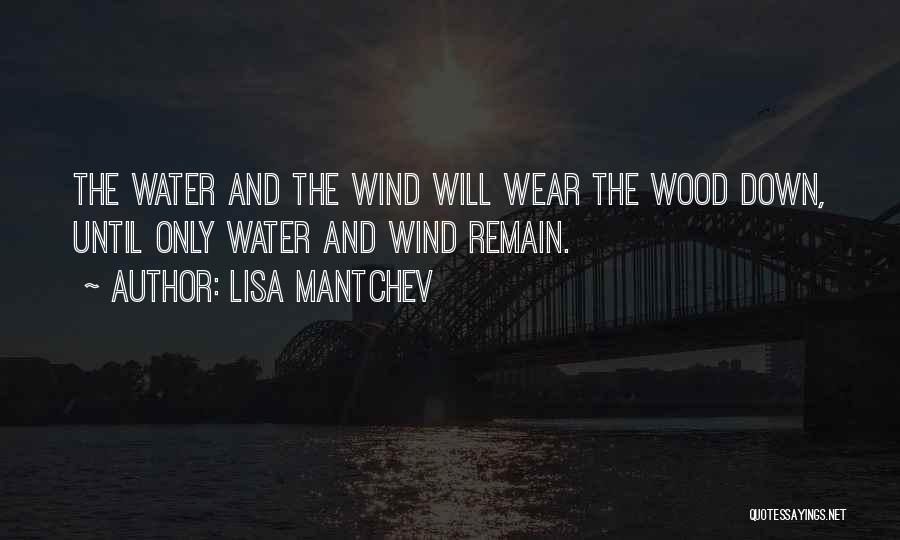 Lisa Mantchev Quotes: The Water And The Wind Will Wear The Wood Down, Until Only Water And Wind Remain.