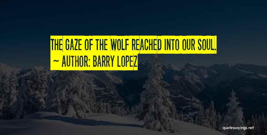 Barry Lopez Quotes: The Gaze Of The Wolf Reached Into Our Soul.