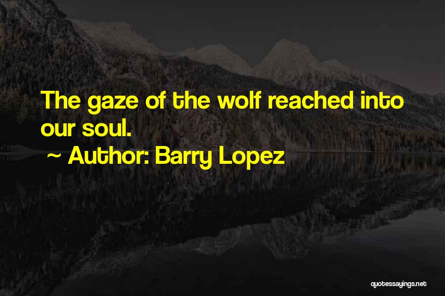 Barry Lopez Quotes: The Gaze Of The Wolf Reached Into Our Soul.