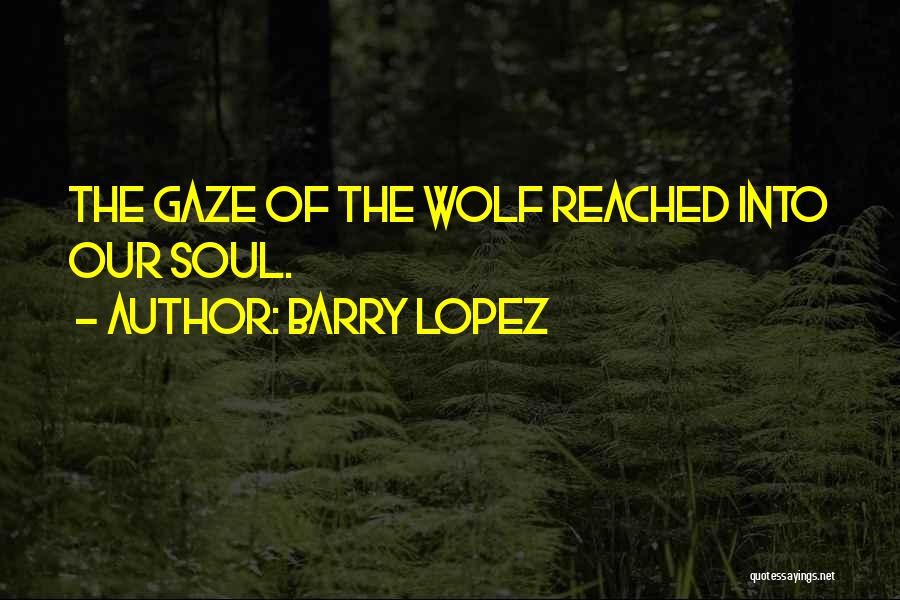 Barry Lopez Quotes: The Gaze Of The Wolf Reached Into Our Soul.