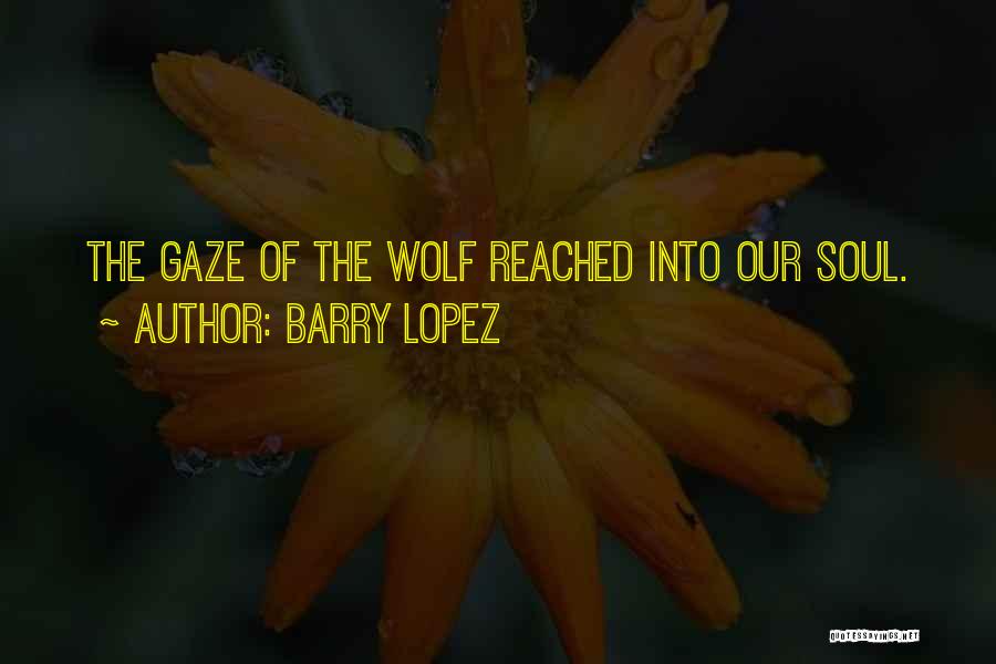 Barry Lopez Quotes: The Gaze Of The Wolf Reached Into Our Soul.