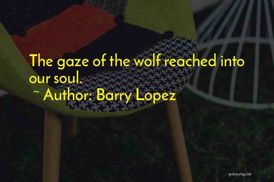 Barry Lopez Quotes: The Gaze Of The Wolf Reached Into Our Soul.