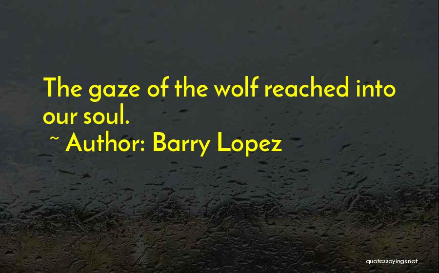 Barry Lopez Quotes: The Gaze Of The Wolf Reached Into Our Soul.