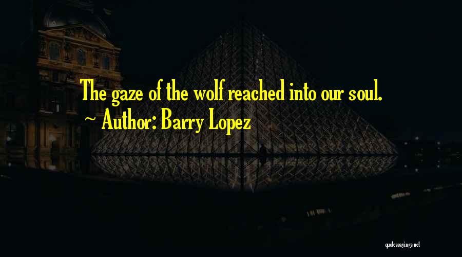 Barry Lopez Quotes: The Gaze Of The Wolf Reached Into Our Soul.