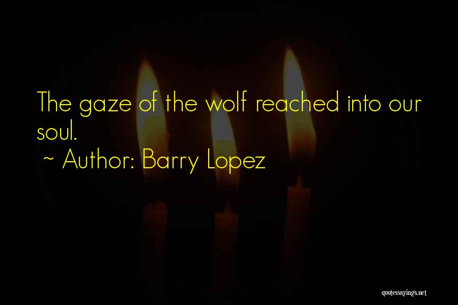 Barry Lopez Quotes: The Gaze Of The Wolf Reached Into Our Soul.
