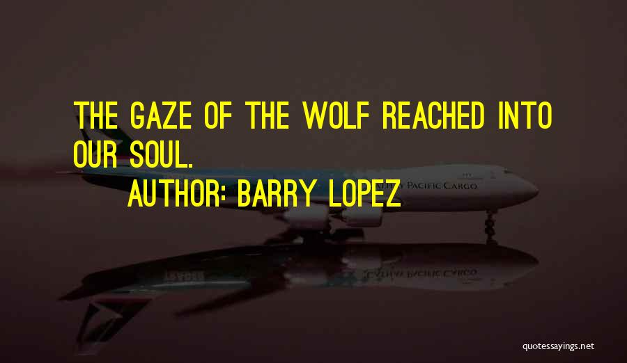 Barry Lopez Quotes: The Gaze Of The Wolf Reached Into Our Soul.