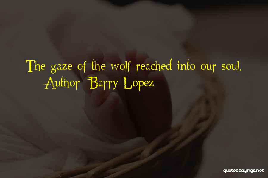 Barry Lopez Quotes: The Gaze Of The Wolf Reached Into Our Soul.
