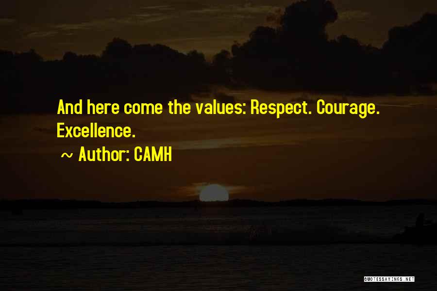CAMH Quotes: And Here Come The Values: Respect. Courage. Excellence.