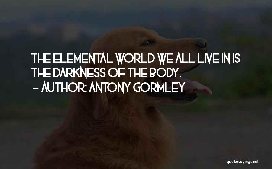 Antony Gormley Quotes: The Elemental World We All Live In Is The Darkness Of The Body.