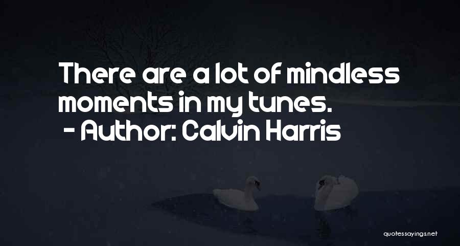 Calvin Harris Quotes: There Are A Lot Of Mindless Moments In My Tunes.