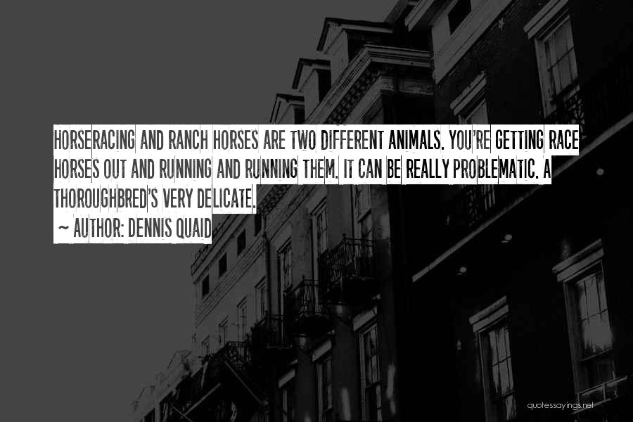 Dennis Quaid Quotes: Horseracing And Ranch Horses Are Two Different Animals. You're Getting Race Horses Out And Running And Running Them. It Can