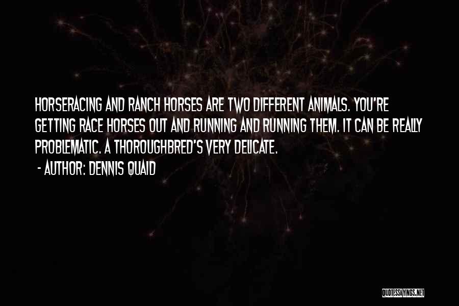 Dennis Quaid Quotes: Horseracing And Ranch Horses Are Two Different Animals. You're Getting Race Horses Out And Running And Running Them. It Can