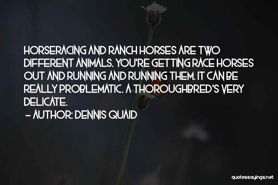 Dennis Quaid Quotes: Horseracing And Ranch Horses Are Two Different Animals. You're Getting Race Horses Out And Running And Running Them. It Can