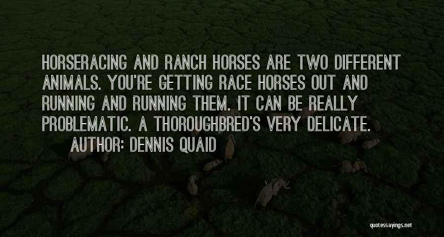 Dennis Quaid Quotes: Horseracing And Ranch Horses Are Two Different Animals. You're Getting Race Horses Out And Running And Running Them. It Can