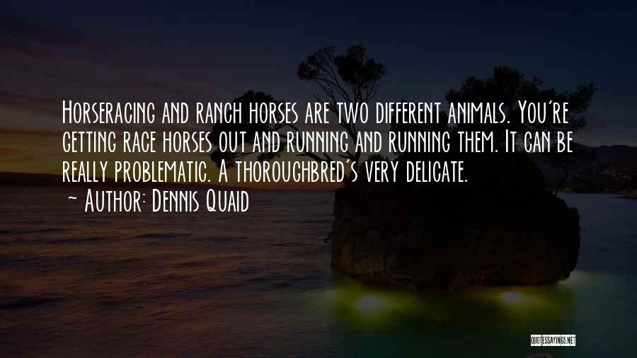Dennis Quaid Quotes: Horseracing And Ranch Horses Are Two Different Animals. You're Getting Race Horses Out And Running And Running Them. It Can