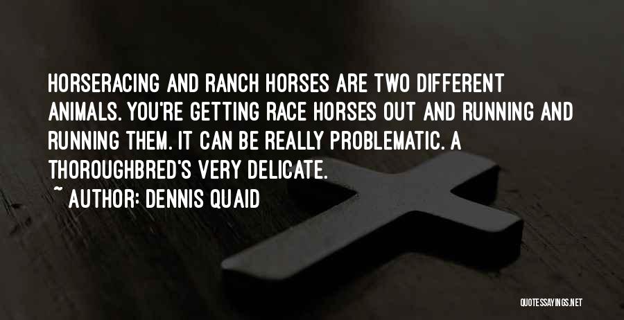 Dennis Quaid Quotes: Horseracing And Ranch Horses Are Two Different Animals. You're Getting Race Horses Out And Running And Running Them. It Can