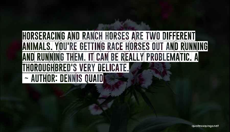 Dennis Quaid Quotes: Horseracing And Ranch Horses Are Two Different Animals. You're Getting Race Horses Out And Running And Running Them. It Can