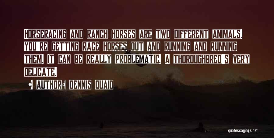 Dennis Quaid Quotes: Horseracing And Ranch Horses Are Two Different Animals. You're Getting Race Horses Out And Running And Running Them. It Can