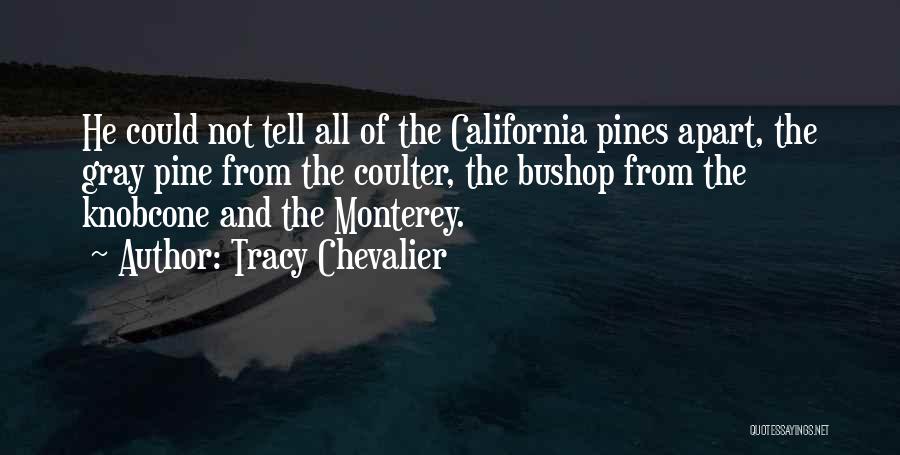 Tracy Chevalier Quotes: He Could Not Tell All Of The California Pines Apart, The Gray Pine From The Coulter, The Bushop From The