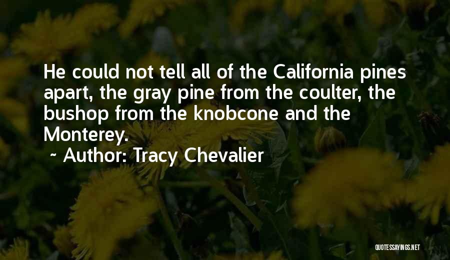 Tracy Chevalier Quotes: He Could Not Tell All Of The California Pines Apart, The Gray Pine From The Coulter, The Bushop From The