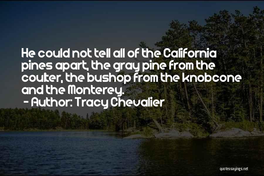 Tracy Chevalier Quotes: He Could Not Tell All Of The California Pines Apart, The Gray Pine From The Coulter, The Bushop From The