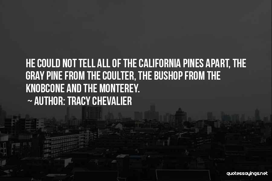 Tracy Chevalier Quotes: He Could Not Tell All Of The California Pines Apart, The Gray Pine From The Coulter, The Bushop From The