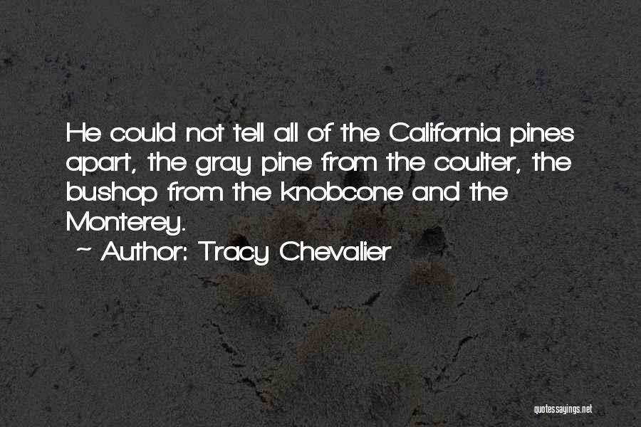 Tracy Chevalier Quotes: He Could Not Tell All Of The California Pines Apart, The Gray Pine From The Coulter, The Bushop From The