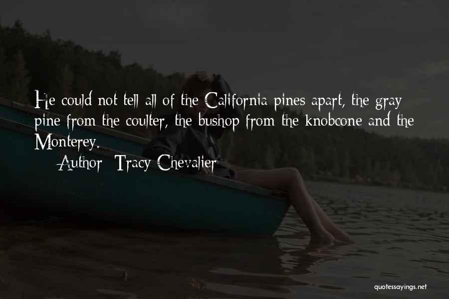 Tracy Chevalier Quotes: He Could Not Tell All Of The California Pines Apart, The Gray Pine From The Coulter, The Bushop From The