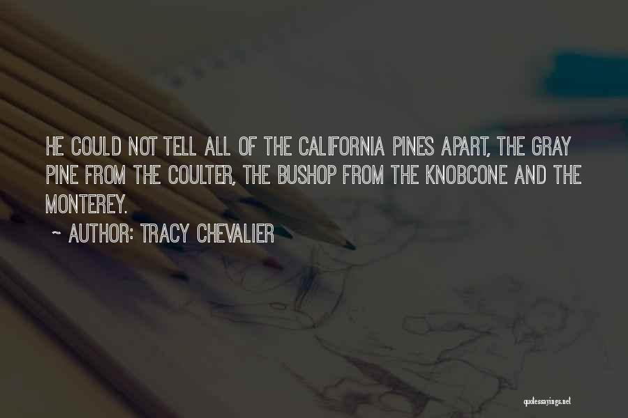 Tracy Chevalier Quotes: He Could Not Tell All Of The California Pines Apart, The Gray Pine From The Coulter, The Bushop From The