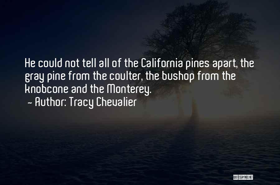 Tracy Chevalier Quotes: He Could Not Tell All Of The California Pines Apart, The Gray Pine From The Coulter, The Bushop From The