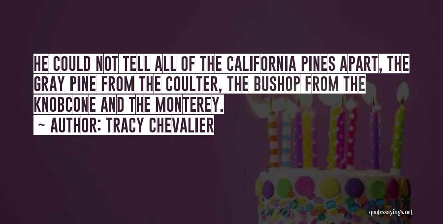 Tracy Chevalier Quotes: He Could Not Tell All Of The California Pines Apart, The Gray Pine From The Coulter, The Bushop From The