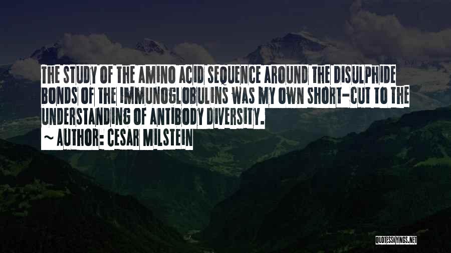 Cesar Milstein Quotes: The Study Of The Amino Acid Sequence Around The Disulphide Bonds Of The Immunoglobulins Was My Own Short-cut To The