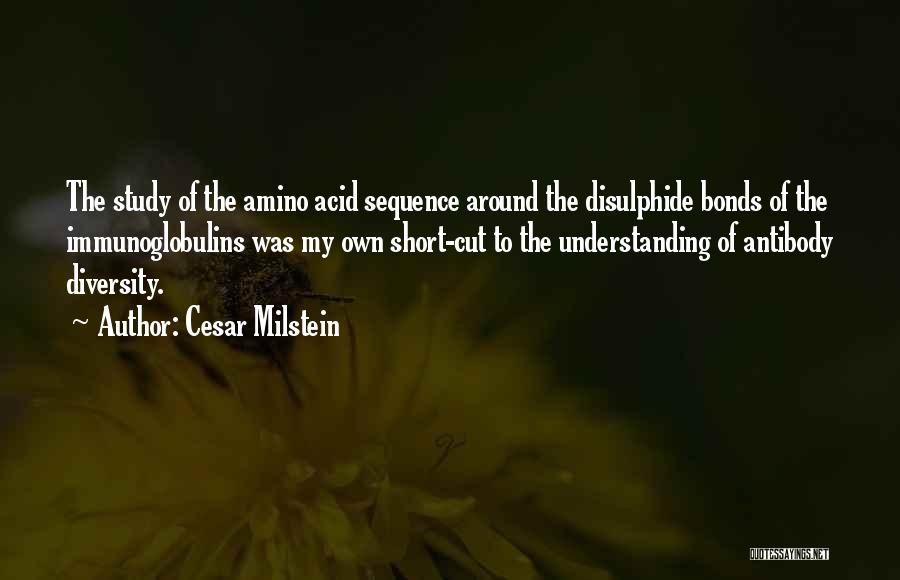 Cesar Milstein Quotes: The Study Of The Amino Acid Sequence Around The Disulphide Bonds Of The Immunoglobulins Was My Own Short-cut To The