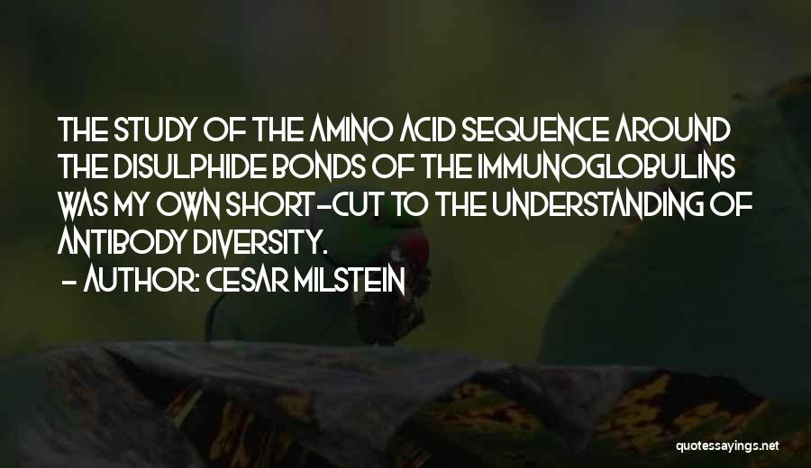 Cesar Milstein Quotes: The Study Of The Amino Acid Sequence Around The Disulphide Bonds Of The Immunoglobulins Was My Own Short-cut To The