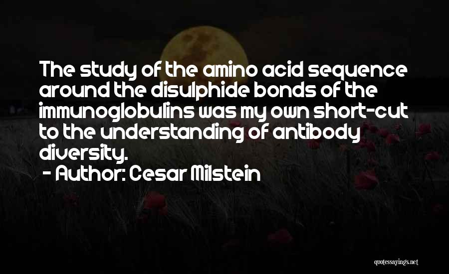 Cesar Milstein Quotes: The Study Of The Amino Acid Sequence Around The Disulphide Bonds Of The Immunoglobulins Was My Own Short-cut To The
