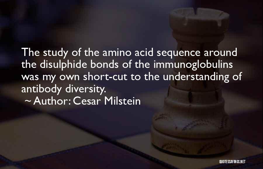 Cesar Milstein Quotes: The Study Of The Amino Acid Sequence Around The Disulphide Bonds Of The Immunoglobulins Was My Own Short-cut To The