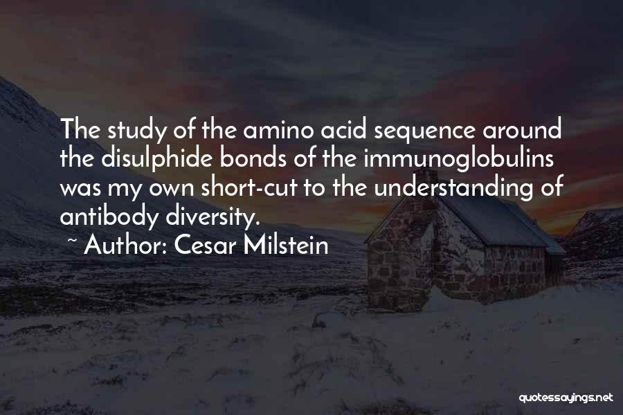 Cesar Milstein Quotes: The Study Of The Amino Acid Sequence Around The Disulphide Bonds Of The Immunoglobulins Was My Own Short-cut To The