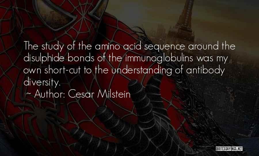 Cesar Milstein Quotes: The Study Of The Amino Acid Sequence Around The Disulphide Bonds Of The Immunoglobulins Was My Own Short-cut To The