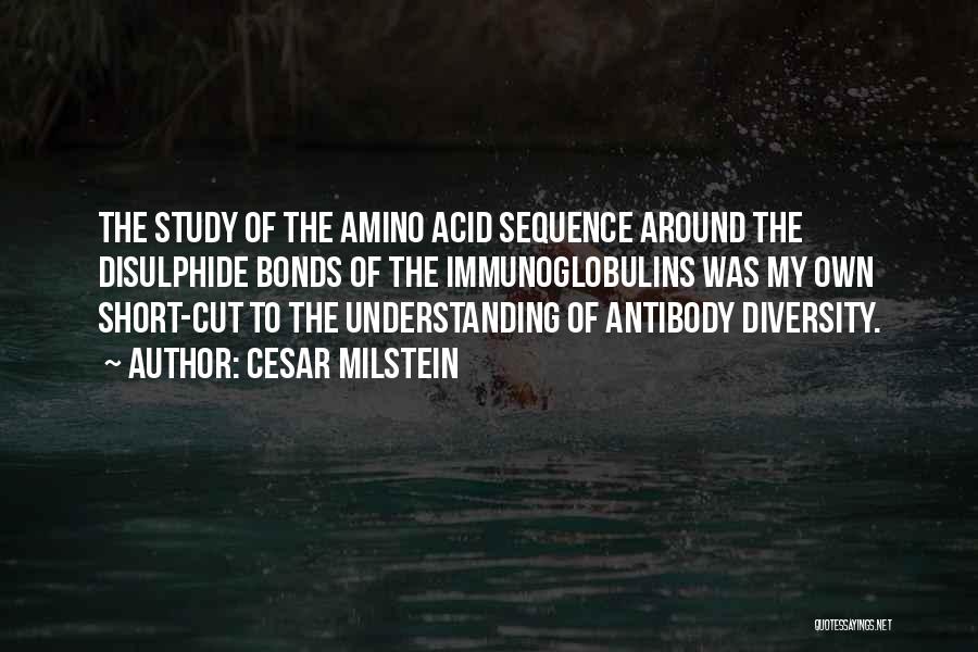 Cesar Milstein Quotes: The Study Of The Amino Acid Sequence Around The Disulphide Bonds Of The Immunoglobulins Was My Own Short-cut To The
