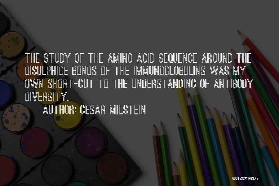 Cesar Milstein Quotes: The Study Of The Amino Acid Sequence Around The Disulphide Bonds Of The Immunoglobulins Was My Own Short-cut To The